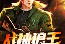 小说《战神狼王》在线章节阅读-豌豆文学