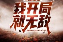 网游重生：我开局就无敌小说，网游重生：我开局就无敌章节在线阅读-豌豆文学