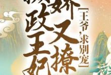 完结版《摄政王妃娇又撩：王爷，求别宠！》免费阅读-豌豆文学