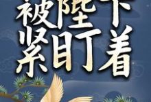 哪里可以免费读到叶飘离的完整故事？寻找小太监她被陛下紧盯着-豌豆文学