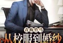 寻找能够免费阅读青梅竹马：从校服到婚纱从来只有你小说的平台-豌豆文学