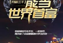 哪里能找到月薪三千，能当世界首富？小说的最新更新和免费章节？-豌豆文学