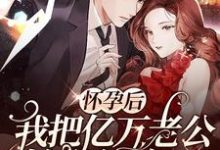 完结版《怀孕后，我把亿万老公始乱终弃了》章节目录在线阅读-豌豆文学