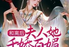 哪里能找到和离后，夫人她千娇百媚入主侯府小说的最新更新和免费章节？-豌豆文学