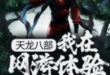 刘一手小说在线章节免费阅读（天龙八部：我在网游体验百种职业无弹窗无删减）-豌豆文学