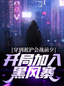 穿到淞沪会战前夕，开局加入黑风寨小说阅读，穿到淞沪会战前夕，开局加入黑风寨完结版