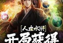 人在水浒：开局获得神格召唤小说的无弹窗阅读体验，寻找免费阅读网站-豌豆文学
