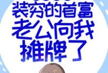 闪婚超甜：装穷的首富老公向我摊牌了苏恩明燕小说大结局免费试读-豌豆文学