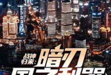萧风小说在哪里可以看-豌豆文学