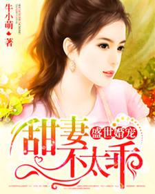 盛世婚宠小说阅读，盛世婚宠完结版