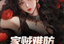 《家贼难防:老婆是个扶弟魔》小说章节列表免费试读,许野陈青青小说在线阅读-豌豆文学