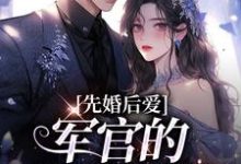 男女主人公沈稚欢谢澜深小说先婚后爱：军官的绝世医妻章节免费阅读-豌豆文学