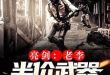 《支援亮剑：我有武器清仓大甩卖》小说章节列表免费试读，叶凡李云龙小说在线阅读-豌豆文学