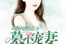 《慕少宠妻甜蜜蜜》小说章节列表免费试读,傅书瑶慕天佑容冼尧小说在线阅读-豌豆文学