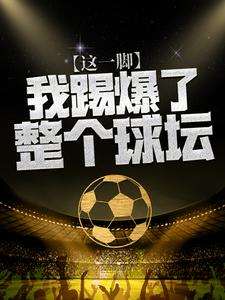这一脚，我踢爆了整个球坛小说的无弹窗阅读体验，寻找免费阅读网站