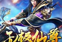 柳逸小说叫什么（无极仙尊免费阅读）-豌豆文学