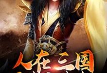 人在三国，可未卜先知小说，人在三国，可未卜先知在线阅读-豌豆文学