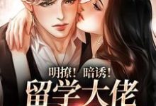傅凡景安为主角的小说叫什么？免费看明撩！暗诱！留学大佬他不怀好意-豌豆文学