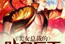 求推荐可以免费阅读美女总裁的贴身兵王小说的网站-豌豆文学