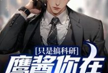 只是搞科研，鹰酱你在怕什么？苏晨陆婉兮小说大结局免费试读-豌豆文学
