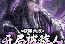 《快穿大汉：开局被族人抢了家产》小说大结局免费试读 高阳小说-豌豆文学