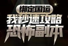 绑定国运:我秒速攻略恐怖副本小说，绑定国运:我秒速攻略恐怖副本在线阅读-豌豆文学