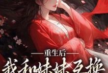 《重生后,我和妹妹互换了人生系统》小说主角顾玲珑章节章节免费在线阅读-豌豆文学