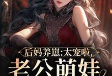 小说《后妈养崽：太宠啦，老公萌娃黏着她》章节阅读-豌豆文学