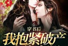 穿书后，我抱紧破产大佬大腿免费阅读，穿书后，我抱紧破产大佬大腿章节目录-豌豆文学