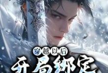 穿越以后，开局绑定反派系统秦洛，穿越以后，开局绑定反派系统章节在线阅读-豌豆文学