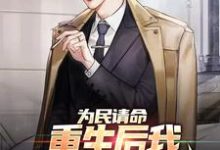 寻找能够免费阅读为民请命，重生后我走上官场巅峰小说的平台-豌豆文学