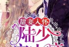完结版《甜妻入怀:陆少,宠上瘾!》在线免费阅读-豌豆文学