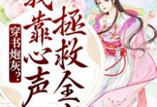 在线搜索陆朝朝陆元宵的完整小说，免费阅读穿书炮灰？我靠心声拯救全家-豌豆文学