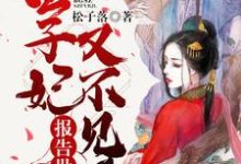 完结版《报告世子，世子妃又不见了》章节目录在线阅读-豌豆文学