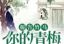 报告竹马：你的青梅重生了！沈薇萧澈沈丽华，报告竹马：你的青梅重生了！小说免费阅读-豌豆文学
