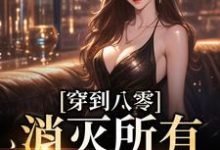 陈柔聂钊的故事在哪本书里？免费阅读穿到八零，消灭所有不法分子-豌豆文学