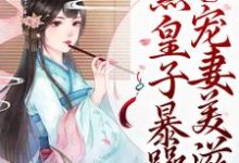 裴时沅李意寻小说在哪里可以看-豌豆文学