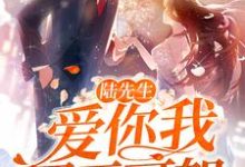 已完结小说《陆先生，爱你我罪无可恕》最新章节-豌豆文学