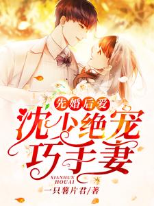 求先婚后爱：沈少绝宠巧手妻小说免费资源