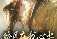 主角叫苏清绾晏明绝的小说在哪阅读-豌豆文学