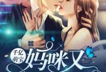 千亿萌宝:妈咪又逃跑了小说阅读,千亿萌宝:妈咪又逃跑了完结版-豌豆文学