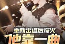 重新出道后爆火，他靠一曲横扫网络免费阅读，重新出道后爆火，他靠一曲横扫网络章节目录-豌豆文学