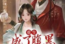 重生：成了腹黑皇帝心尖宠小说，重生：成了腹黑皇帝心尖宠免费阅读-豌豆文学