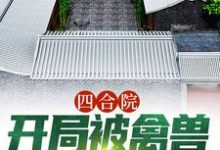 已完结小说《四合院：开局被禽兽们搬空家》章节免费阅读-豌豆文学