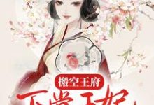 搬空王府,下堂王妃踏上流放之路小说,搬空王府,下堂王妃踏上流放之路免费阅读-豌豆文学