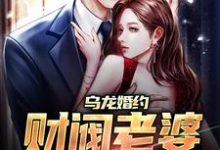 乌龙婚约:财阀老婆不香吗?小说的免费阅读版本在哪里可以找到?-豌豆文学