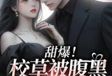 完结版《甜爆！校草被腹黑少女拿捏了》章节阅读-豌豆文学