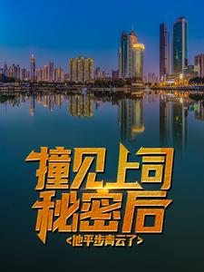 秦天柱林雨琪为主角的小说撞见上司秘密后，他平步青云了在线阅读