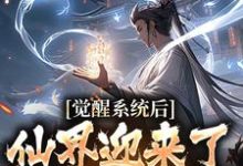 觉醒系统后，仙界迎来了互联网时代林夜小说免费阅读-豌豆文学