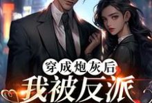穿成炮灰后，我被反派夫人拉黑了免费阅读，穿成炮灰后，我被反派夫人拉黑了章节在线阅读-豌豆文学